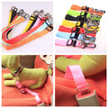 Adjustable dog car safety belt shown as a pet travel car accessory