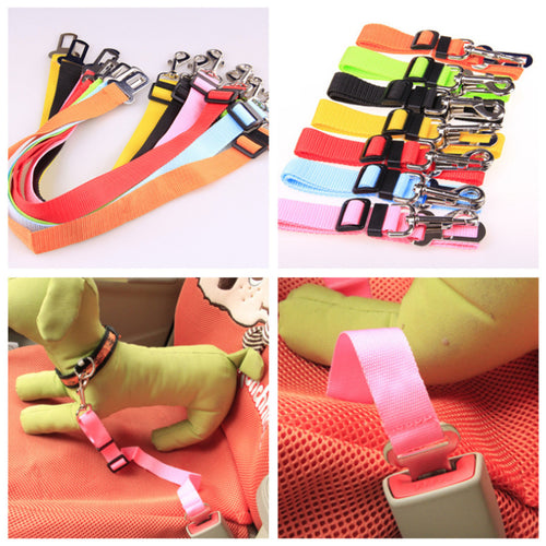 Adjustable dog car safety belt shown as a pet travel car accessory